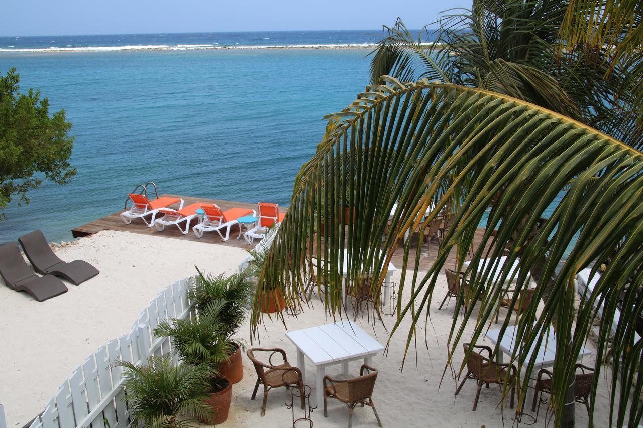 Coral Reef Beach Savaneta Eksteriør billede