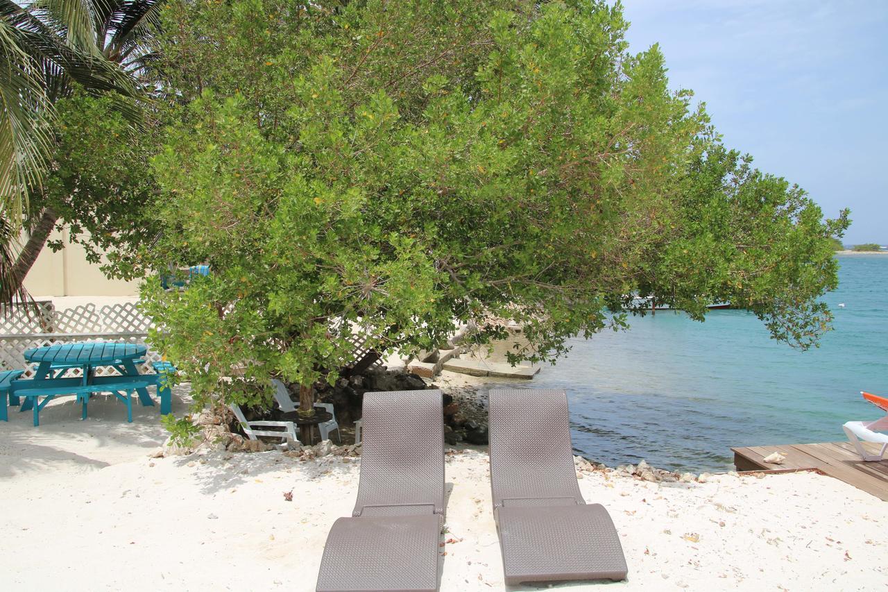 Coral Reef Beach Savaneta Eksteriør billede