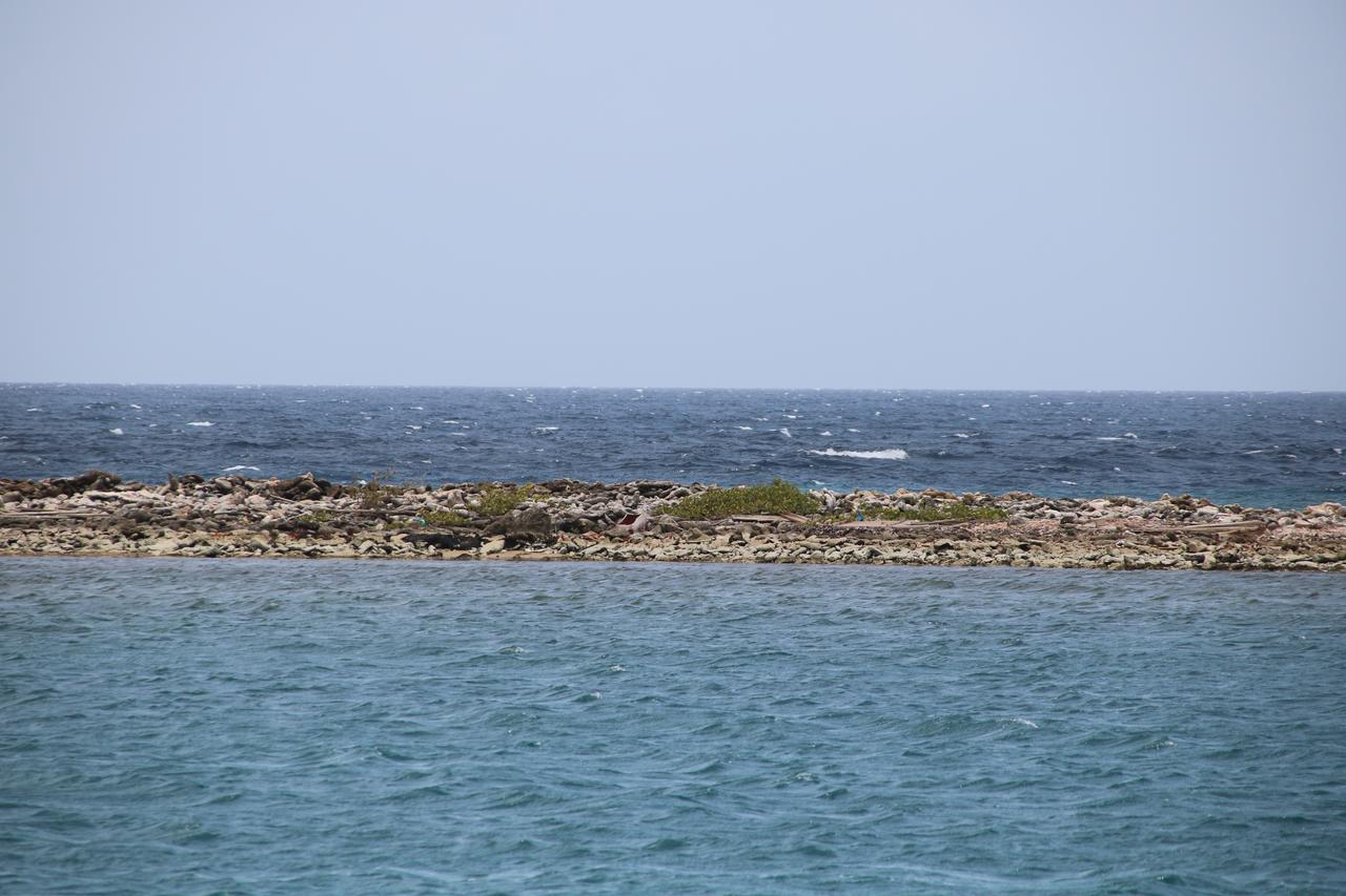 Coral Reef Beach Savaneta Eksteriør billede