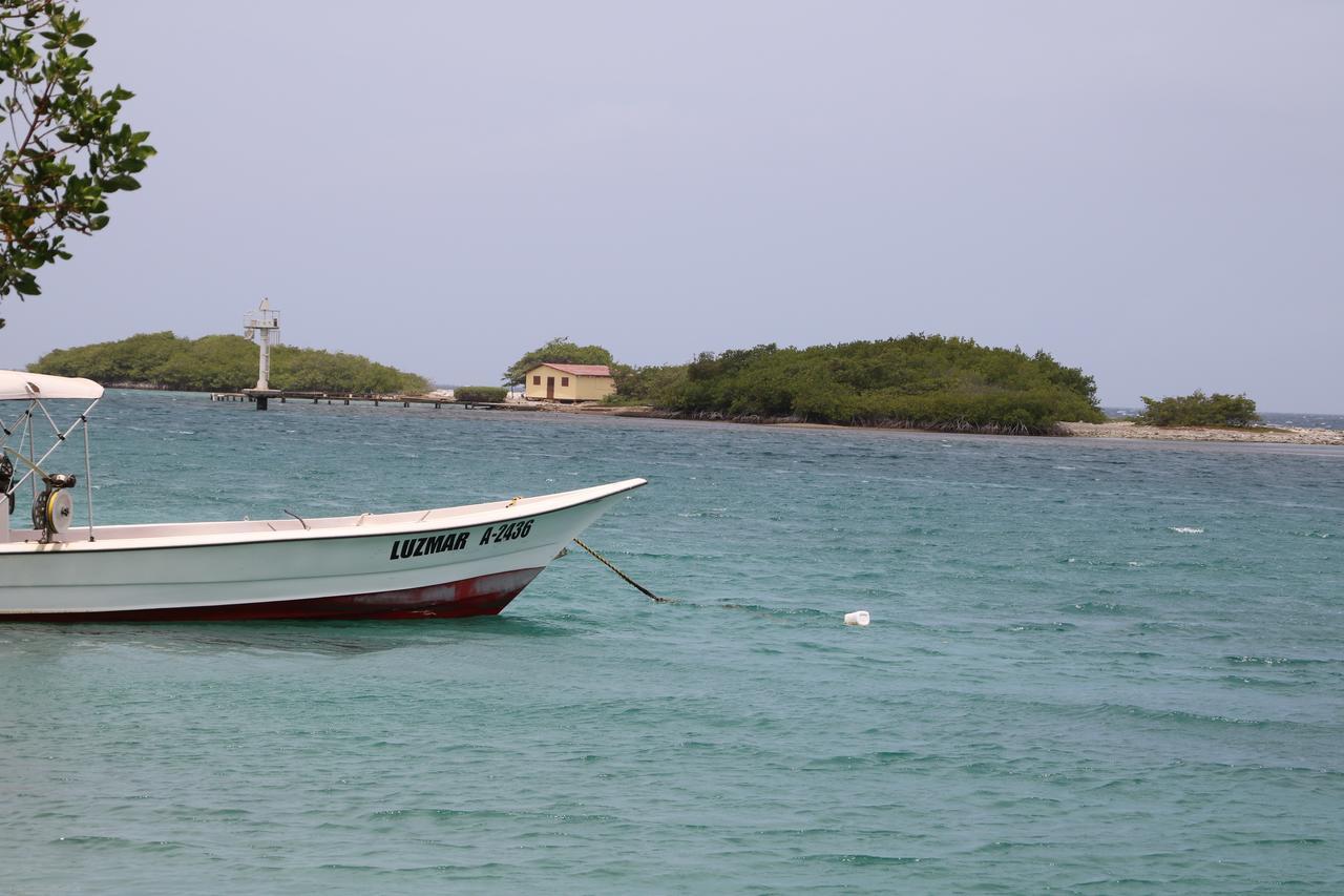 Coral Reef Beach Savaneta Eksteriør billede